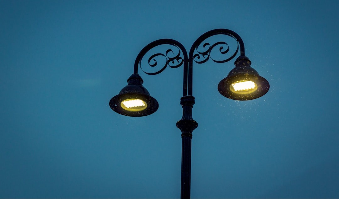black 2-light street lamp turned on during night