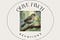 Olive Finch Devotions