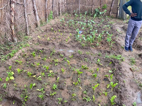 Some developments at the farm.