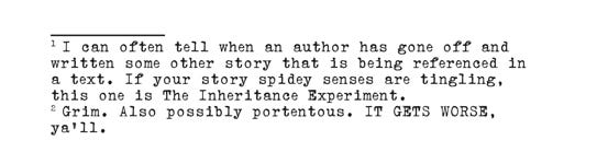 example of footnotes for Everfire by Kel E Fox