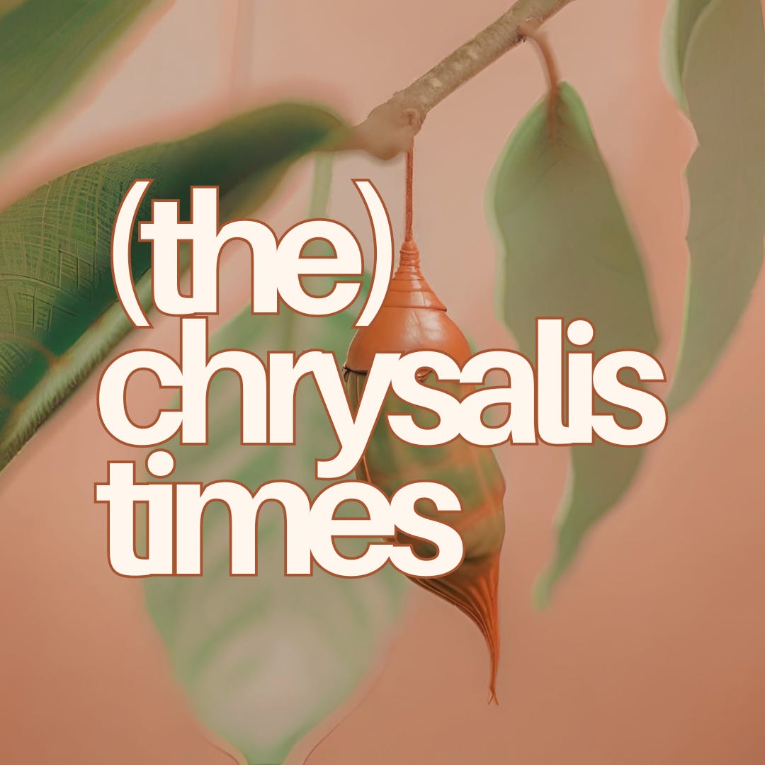 \ud83d\udc1b(the) chrysalis times\ud83e\udd8b