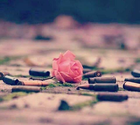 No photo description available. No photo description available.