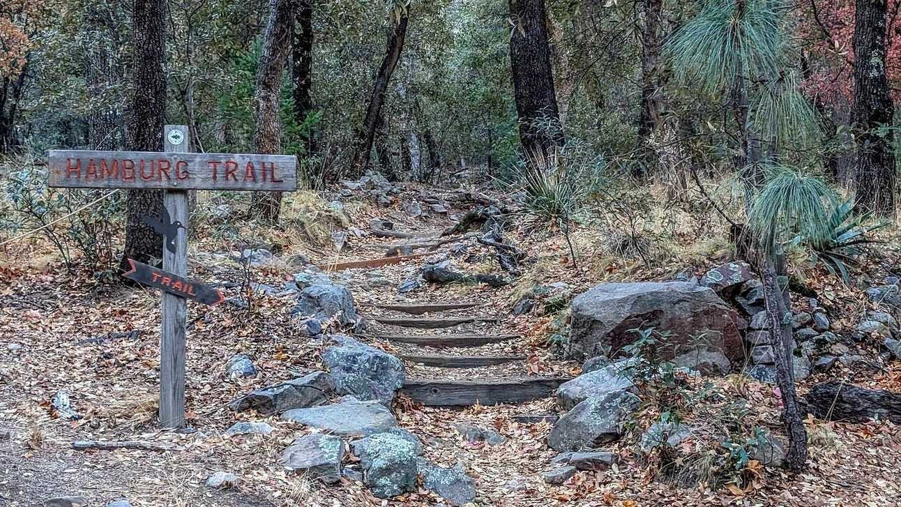Hamburg Trail Sign next to a staircase heading up into a wooded area.