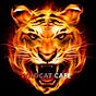 Wildcat Cafe Video's avatar