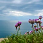 Archive of Stone - Part 2