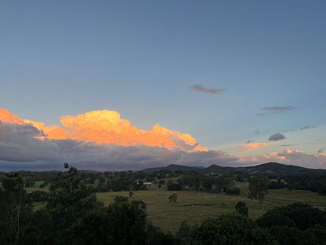 six photos: 1. a bright cloud with pink undertones floating over a hillside in the distance. 2. two trees overlayed on the left hand side of a hillside, blue sky behind with several puffy white clouds to the left of the tree. 3. dark menacing clouds filing the whole sky, with a strip of blue sky just beneath them and then low lying hills below that. 4. the mottled bark of a leopard tree, the colours include white, grey, and browns of all different shades. 5. a sunset photo with pinkish grey clouds, a patch of orange sky and low hills in the background. 6. a misty scene, a big tree fills the foreground and the sun is rising through the mist behind it. 