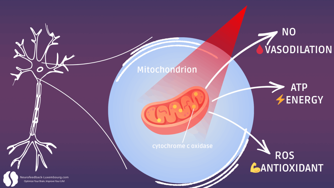 363df1c5 915c 475b 9c4a 9c86d6149ec5