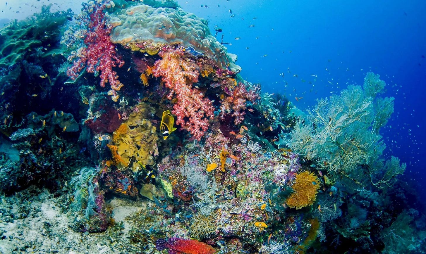 Dive site photo