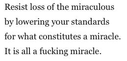 Poem excerpt: "Resist loss of the miraculous / by lowering your standards / for what constitutes a miracle. / It is all a fucking miracle." - Louise Erdrich, "Advice to Myself #2: Resistance"