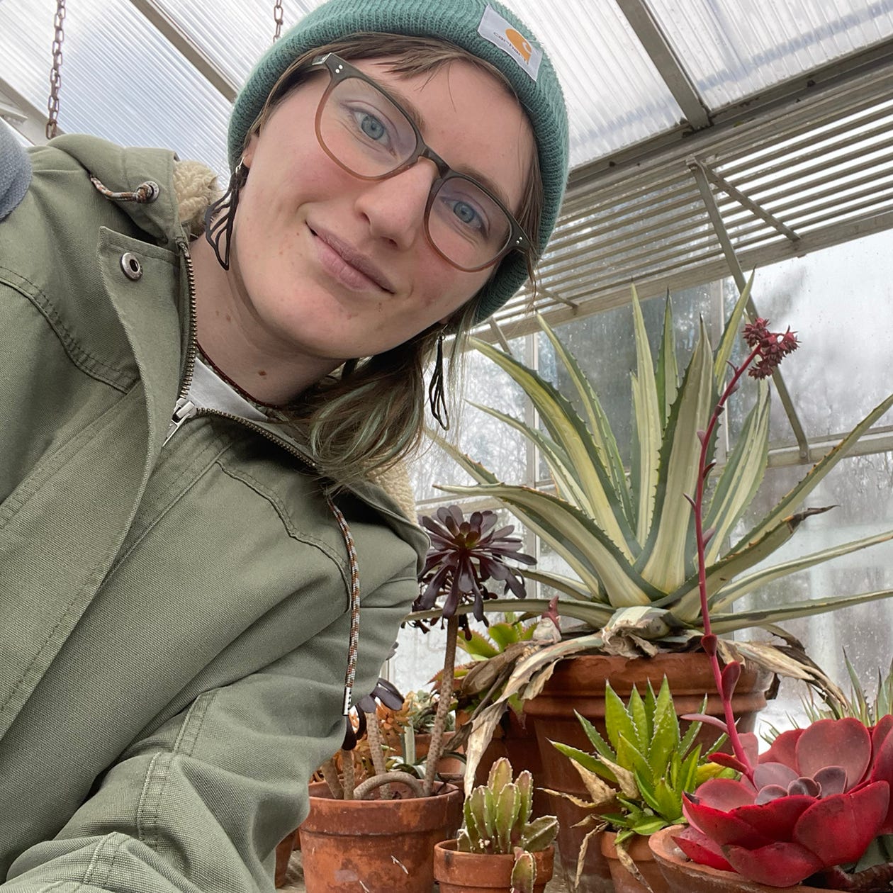 Artwork for Lauren Tara Leafeld