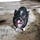 Squealexander Hamilton's Hog Blog