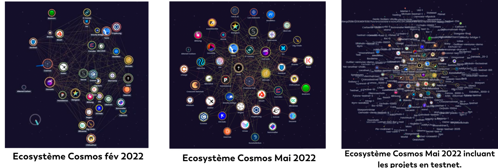 💎 La liste : Analyse et cryptos de juin