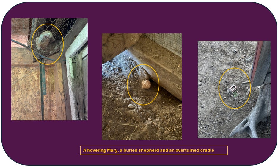 Three photos show ceramic figures of Mary, the shepherd and the cradle amidst the dirt and poop of the chicken yard. The caption reads, "A hovering Mary, a buried shepherd and an overturned cradle."