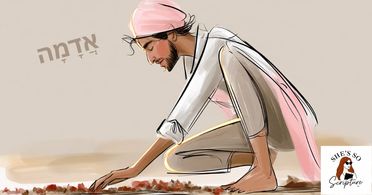 Watercolor sketch of a woman gathering wheat by hand, evoking adamah, the cultivated ground of Genesis. Watercolor sketch of a woman gathering wheat by hand, evoking adamah, the cultivated ground of Genesis.