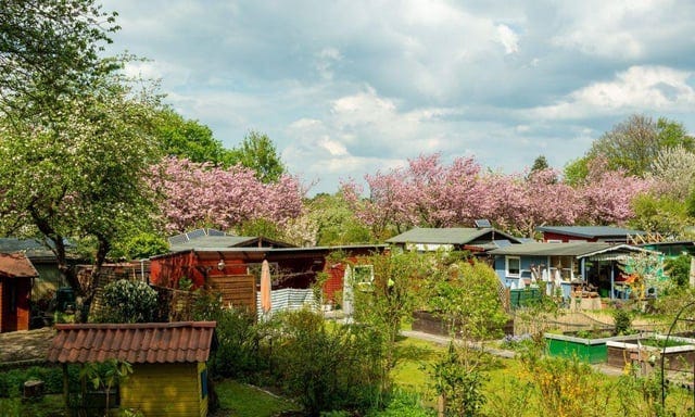 Schrebergärten today : r/behindthebastards