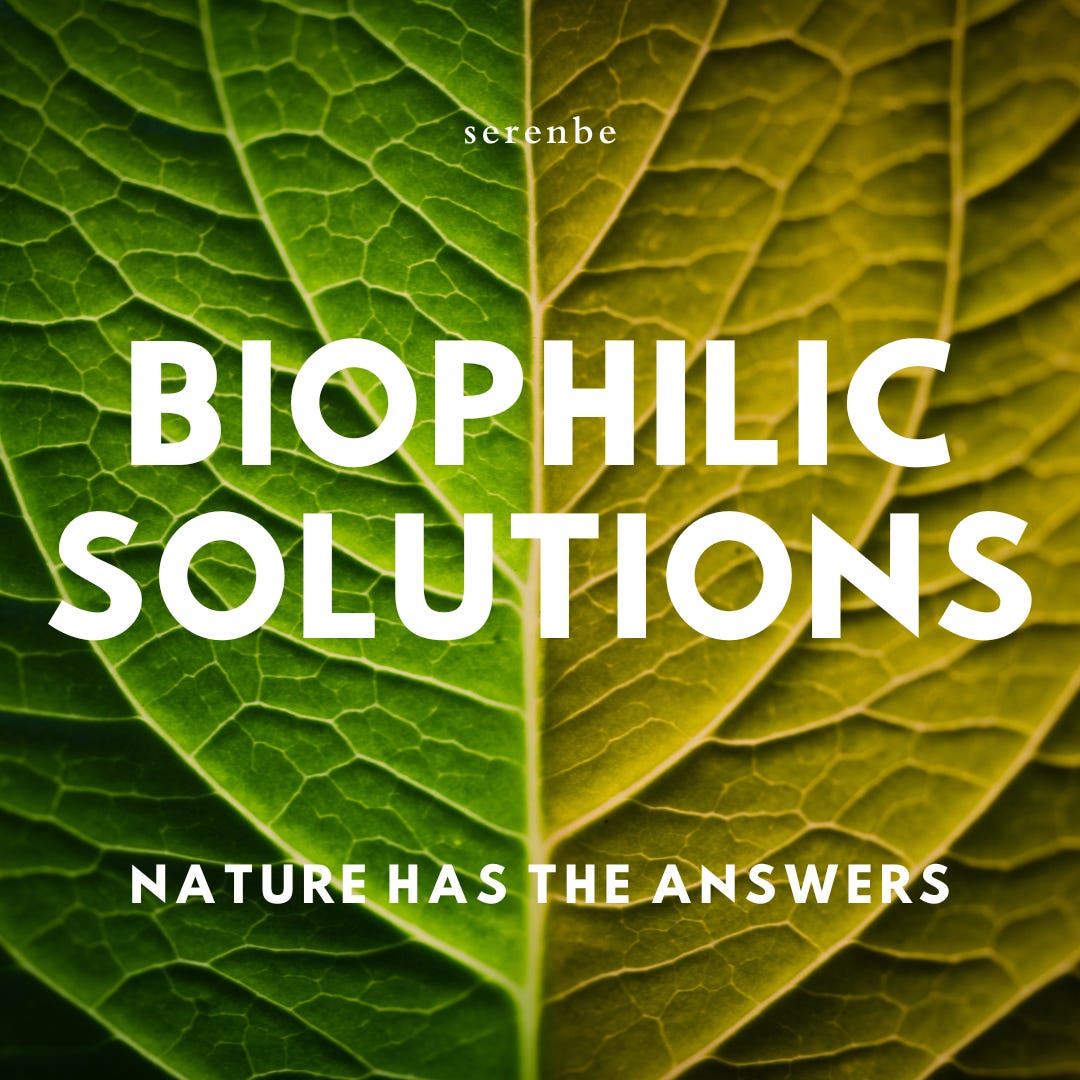 Biophilic Solutions