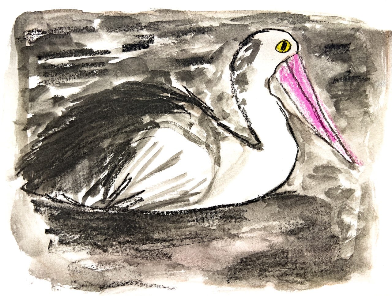 spoonbill illustration by Beth Spencer