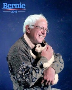 bernie with kitten