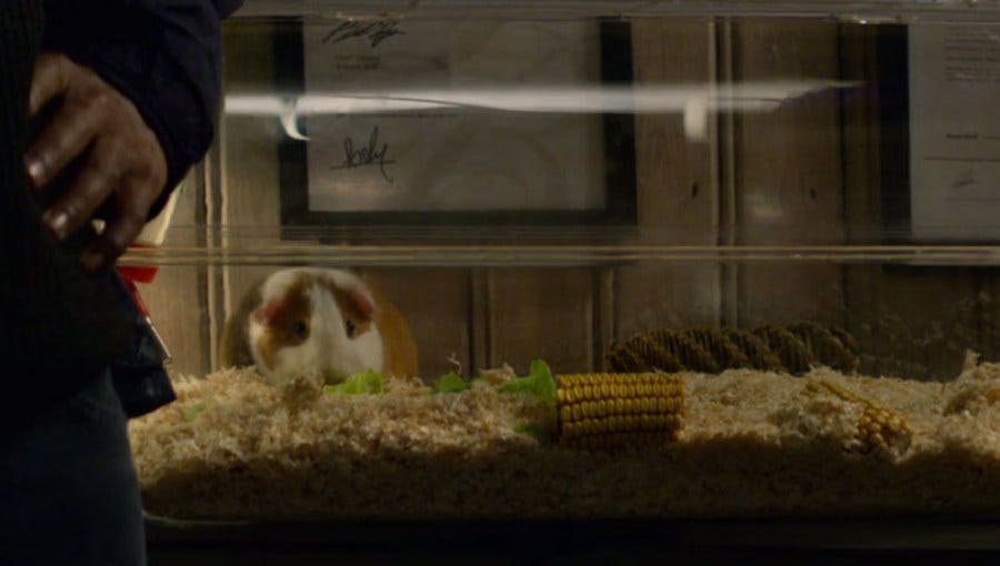 The Black Mirror Guinea Pig Fan Theory | WWBD