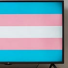 Most Of The Trans TV Characters Are Being Canceled But Nobody Is Shouting About It