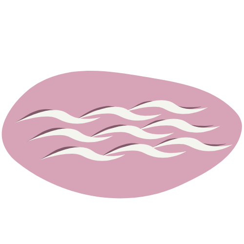 (with)ripple logo