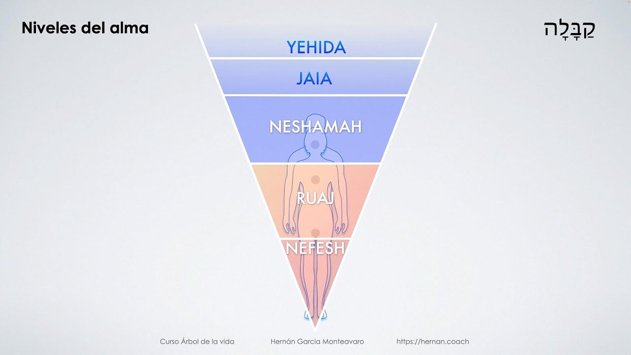 Los Niveles del alma