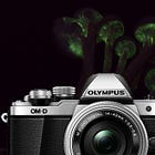 How to Capture Bioluminescent Mushroom Photos: A Comprehensive Guide