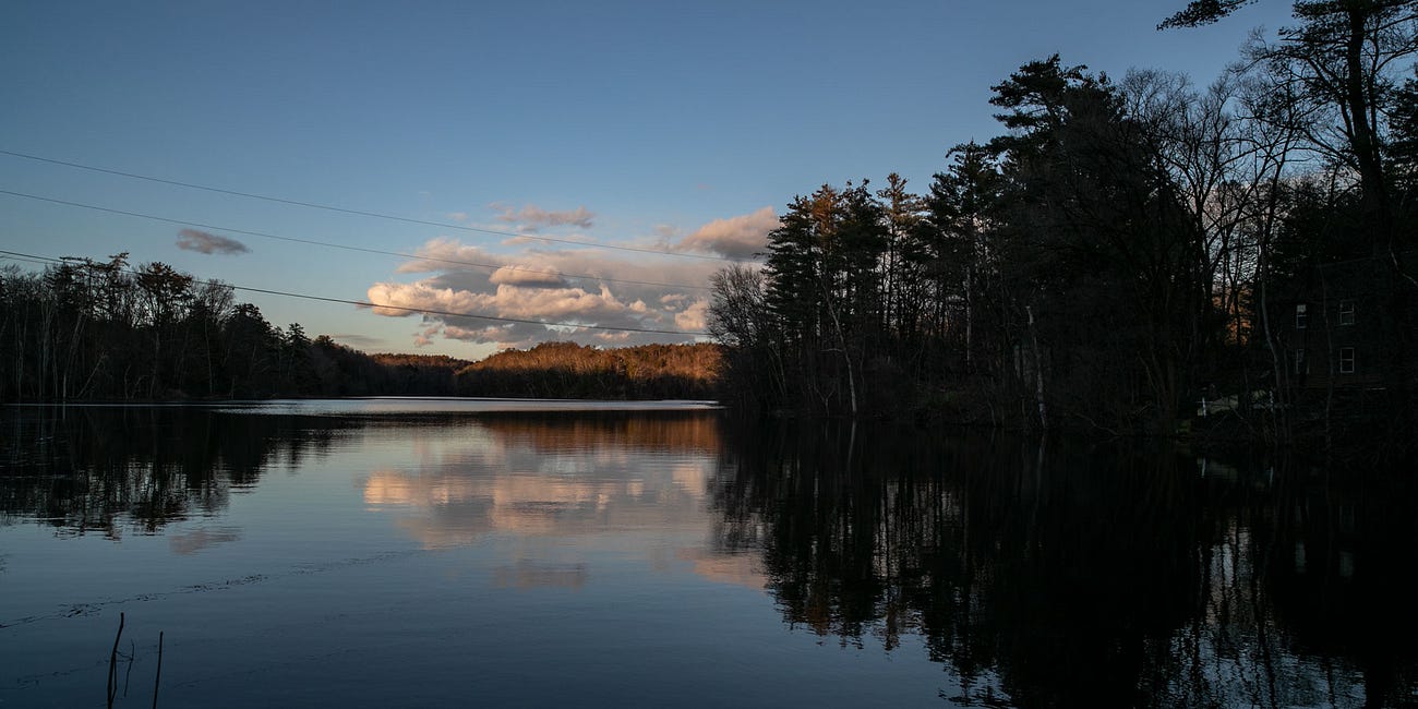 Where Humanity Meets Technology: Top Six Astrological Events of 2024