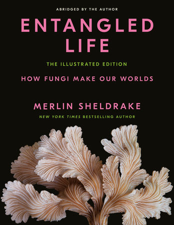 Entangled Life: The Illustrated Edition by Merlin Sheldrake: 9780593729984  | PenguinRandomHouse.com: Books