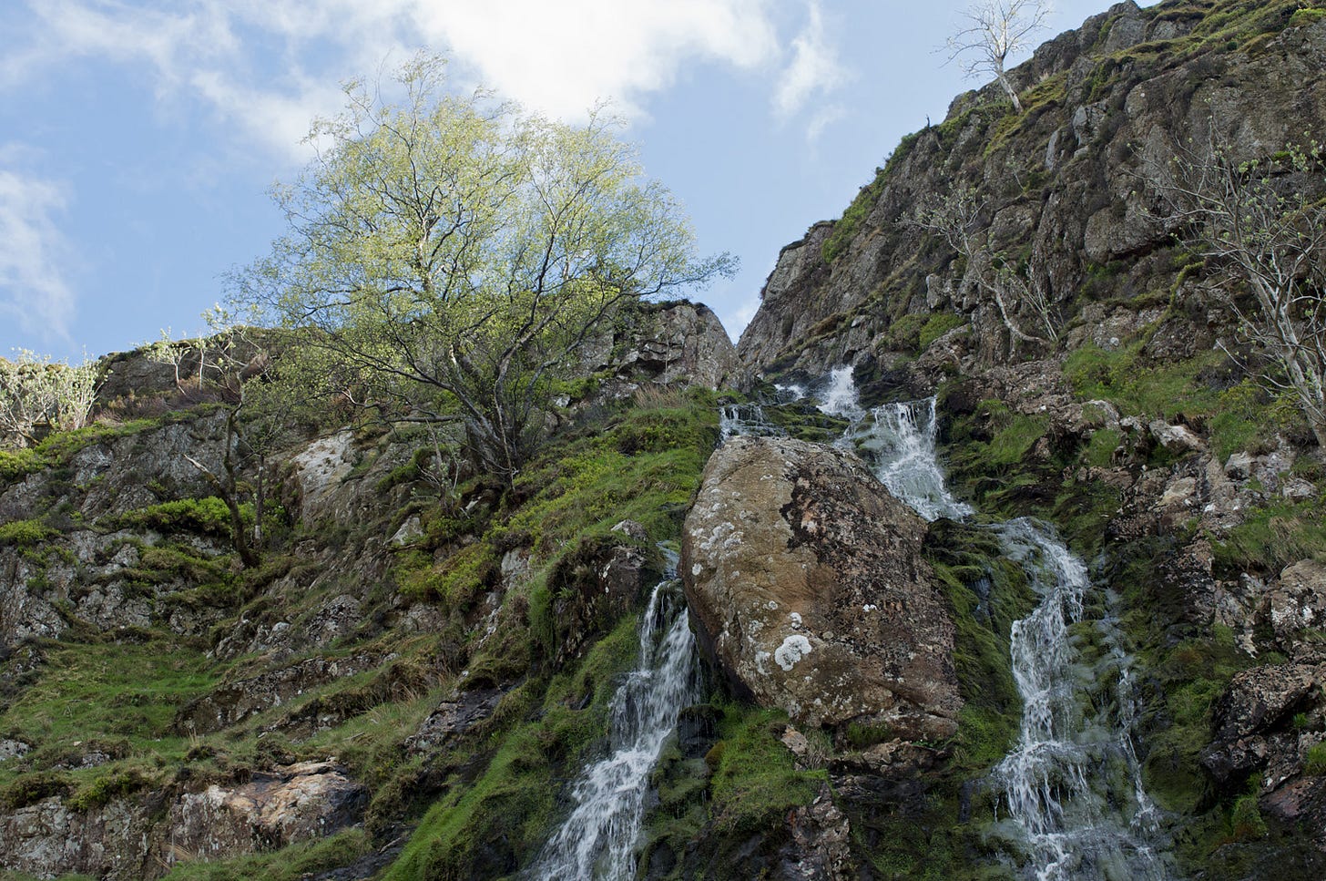 tree, rocks, waterfall