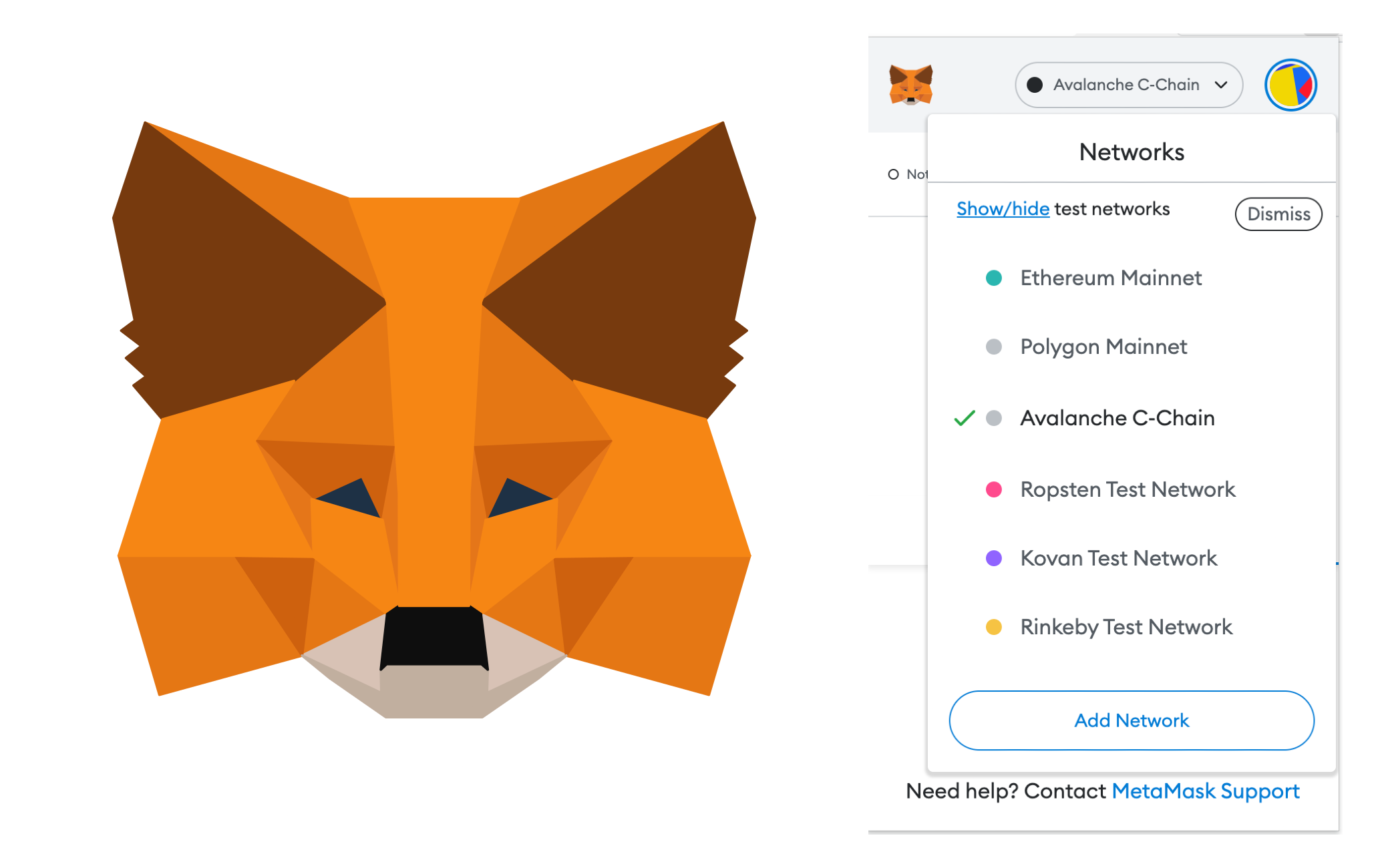 Why Metamask has the same address for different networks