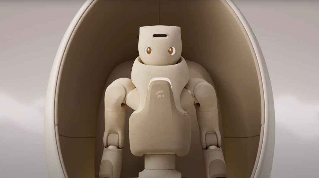 Humanoid robot