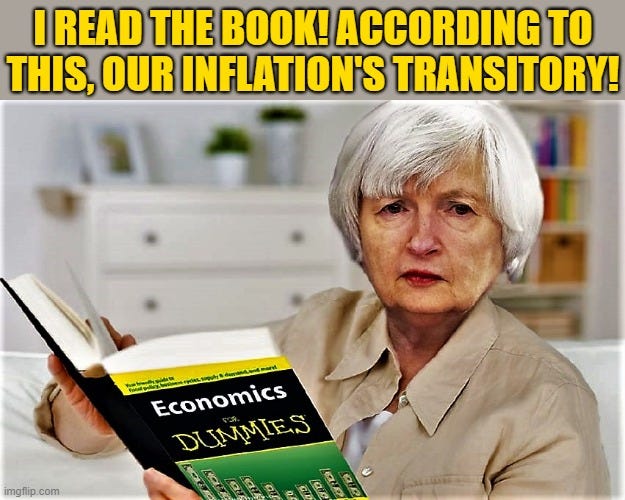 Janet Yellen economics for dummies - Imgflip Janet Yellen economics for dummies - Imgflip