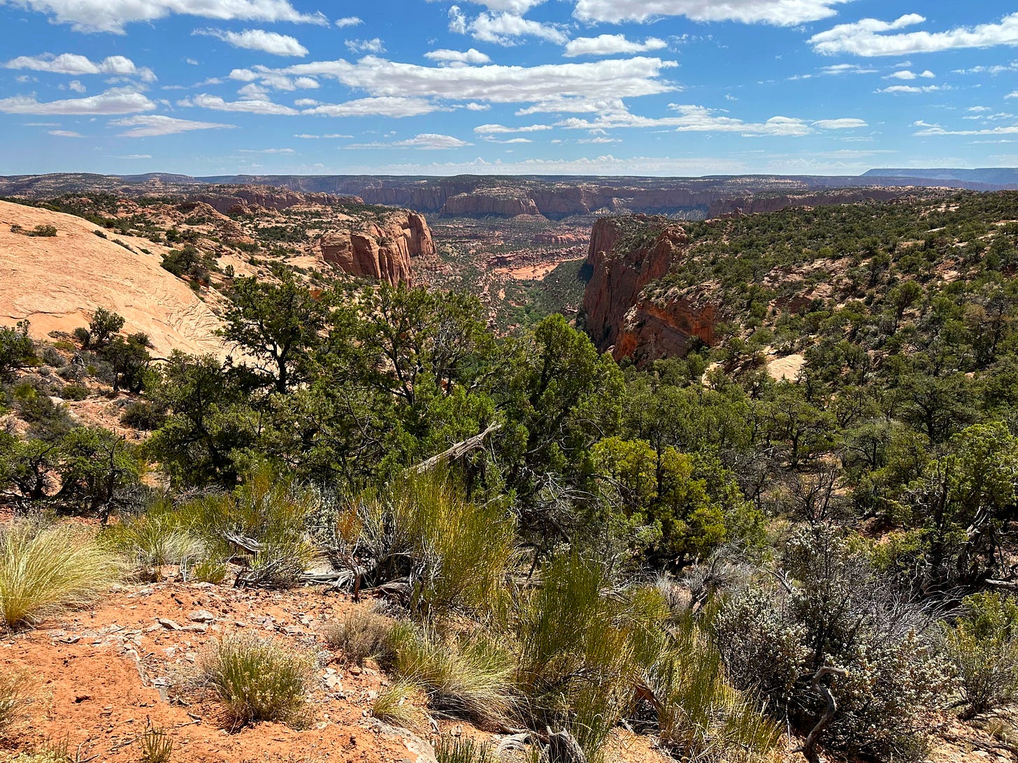 View from our morning walk from the campsite to the Visitor Center