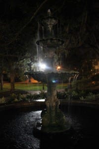IMG_2804