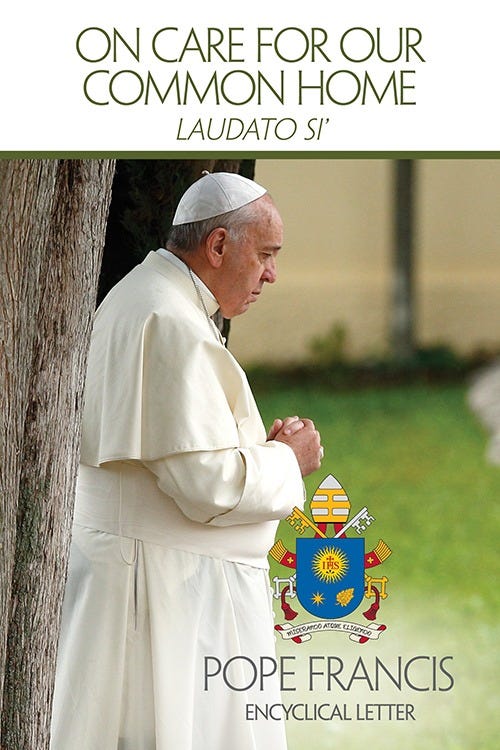 The book cover of Laudato si' shows Pope Francis with hands folded and head slightly bowed next to a tree in an outdoor scene. Large header text reads "On Care For Our Common Home."
