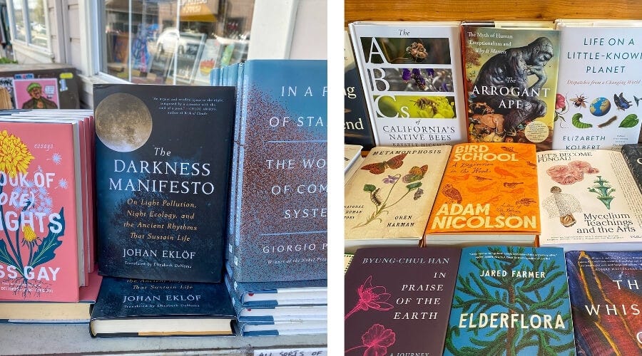 Nature and animal book displays at Point Reyes Books