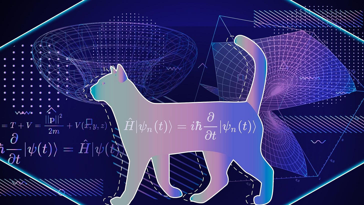 Schrodinger's Cat Explained Like I'm Five Schrodinger's Cat Explained Like I'm Five