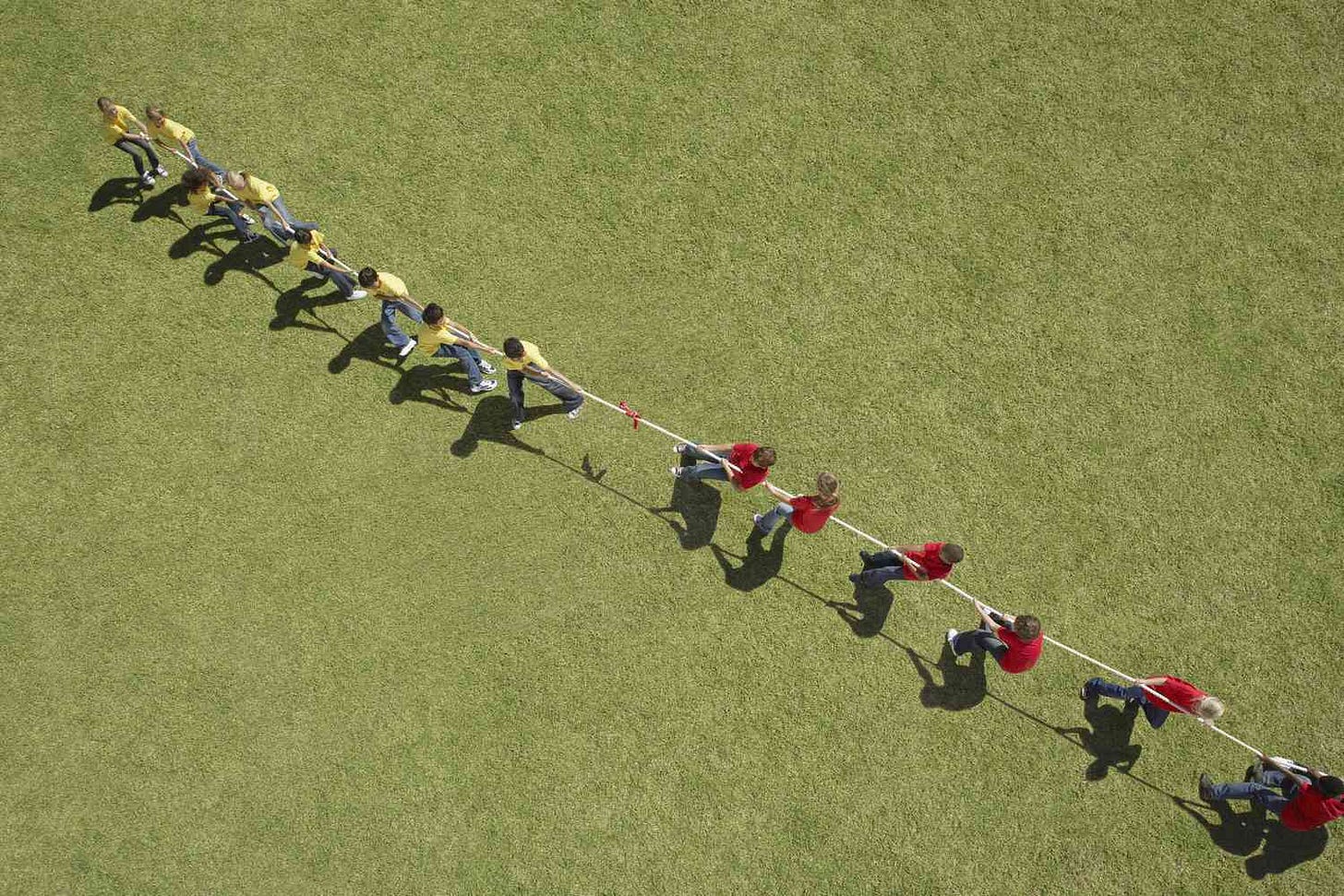 What Was the Robbers Cave Experiment in Psychology?