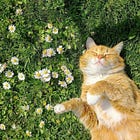 how do you let go? 🕊️