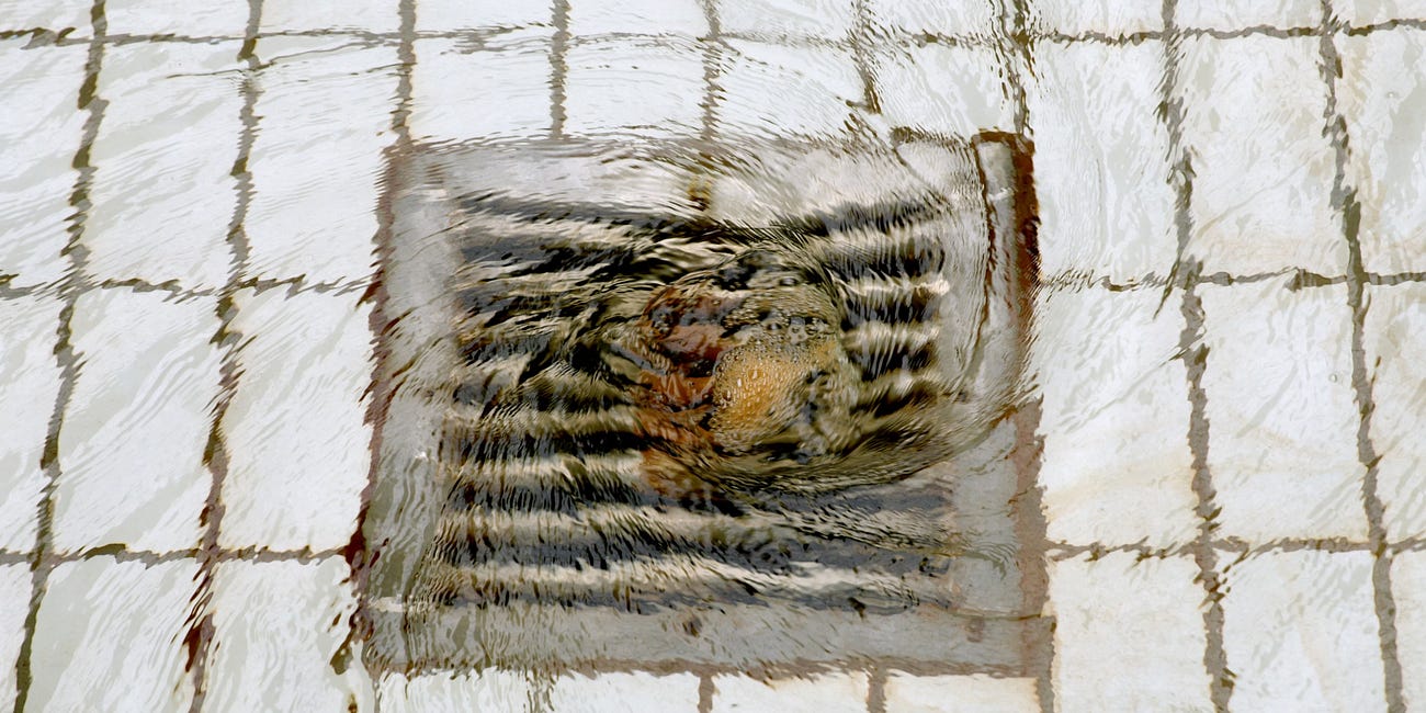 Life, Miracles, and the Art of Unclogging Drains