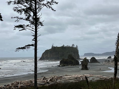 Photos of Olympic National Park coast, rain forest, and trails