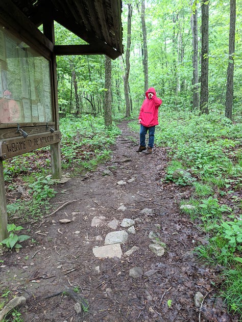All pictures on a path, the left is a brown stone path with a person in a red jacket. The middle photo a wood path with two people walking together. Right is a wooded path with the sun shining on it.