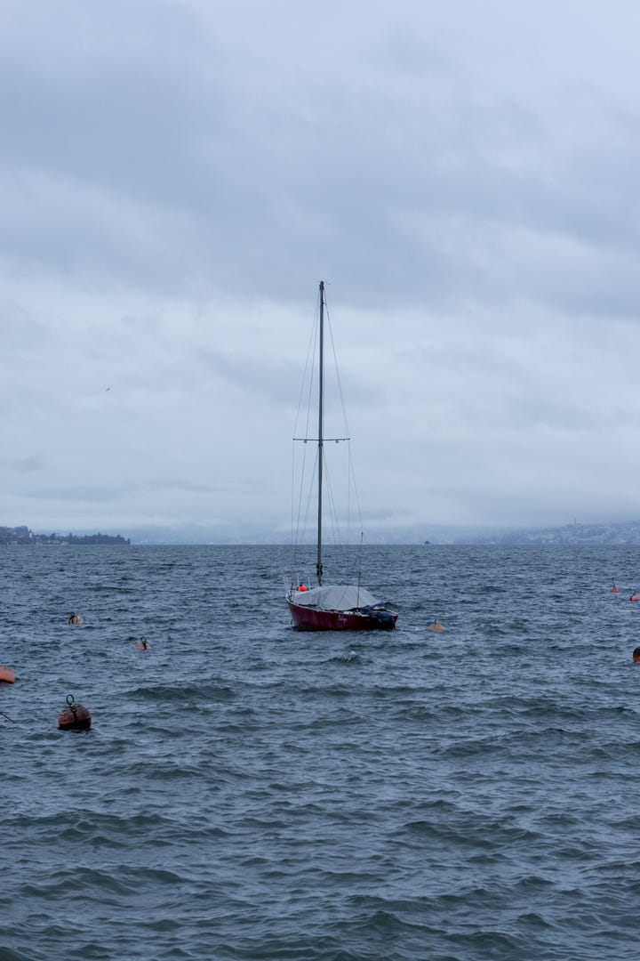 A collection of photos of Lake Zurich