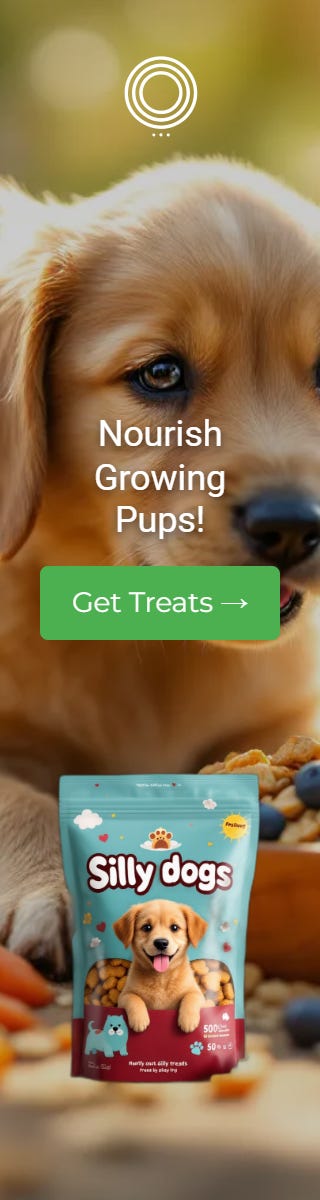 AI-Generated Banners — Ecommerce Ad Skyscraper — Dog treat example