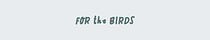 For the Birds
