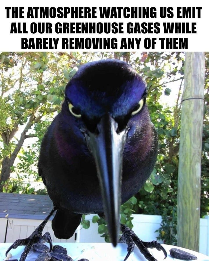 Text: "The atmosphere watching us emit all our greenhouse gases while barely removing any of them." Below, a close-up of a glossy black grackle staring directly into the lens.