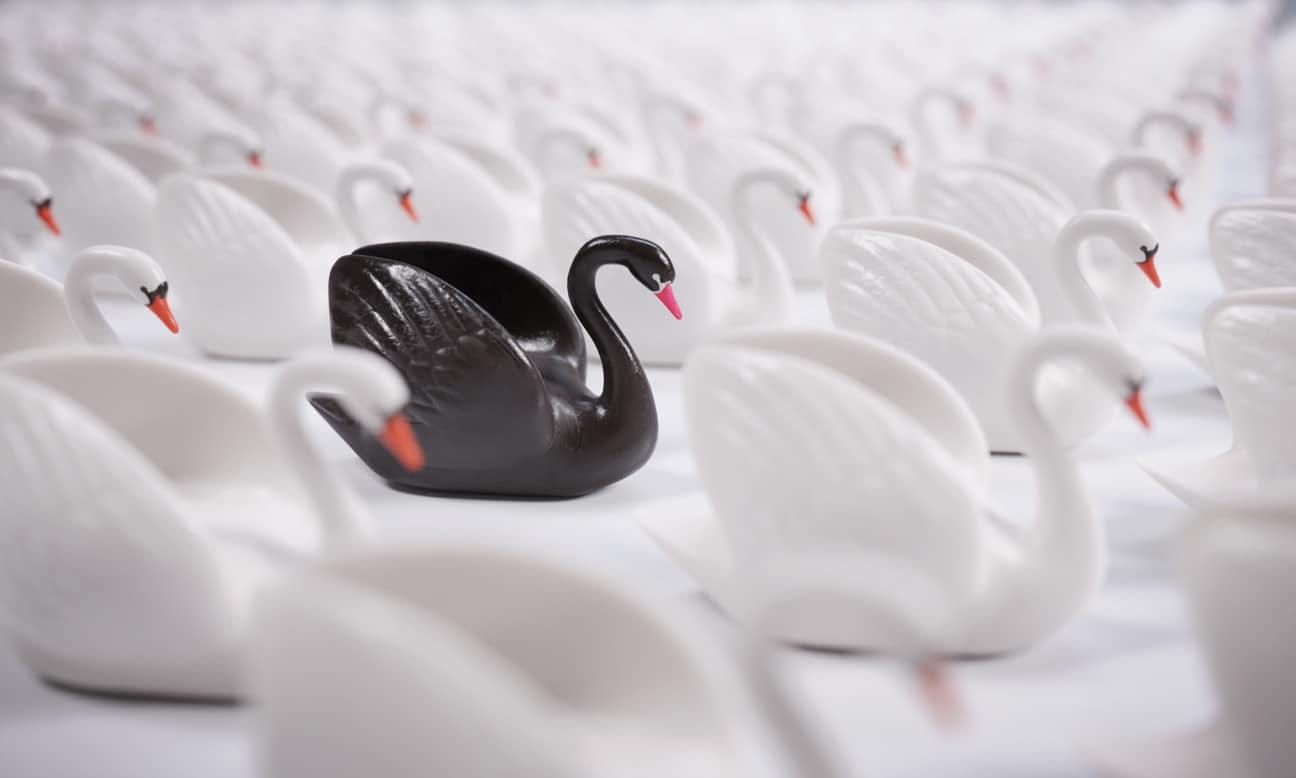 May be an image of swan