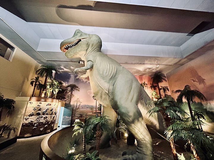 exhibit, display