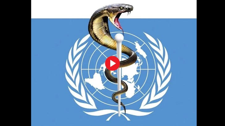 Cutting off the Head of the Snake in Geneva